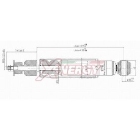 Stoßdämpfer X183553 von AP XENERGY günstig für 85,34 € online kaufen
