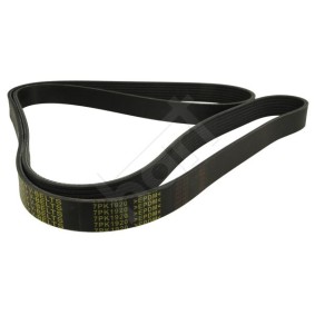 Keilrippenriemen 369 013 von HART günstig für 19,19 € online kaufen