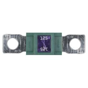 Sicherungskasten 225087 von RESTAGRAF günstig für 16,55 € online kaufen