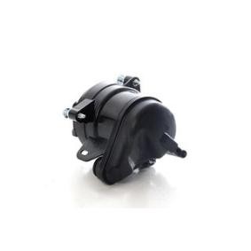 Kraftstofffilter BSG 30-130-021 von BSG günstig für 71,88 € online kaufen