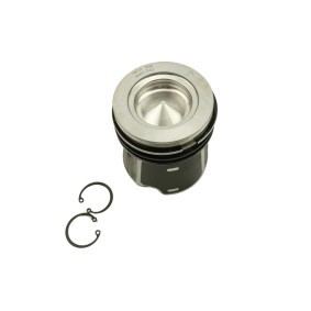 Compre Êmbolo da FAST FT47124/0 a um preço baixo por 131,37 €