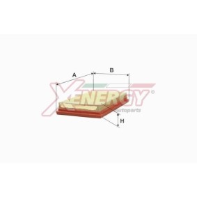 Luftfilter X1591241 von AP XENERGY günstig für 46,73 € online kaufen