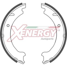 Køb Bremsebakkesæt af AP XENERGY X50310 til den lave pris 244,74 DKK