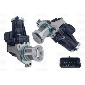 AGR-Ventil für CITROËN von NAP carparts