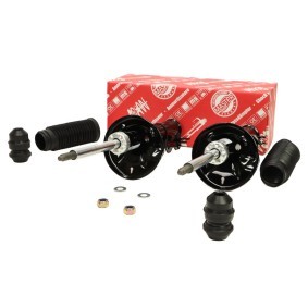 Stoßdämpfer 16K001543 von MASTER-SPORT günstig für 99,11 € online kaufen