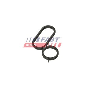 Bremsscheiben und -beläge des Herstellers FAST - Originalware Artikelnummer: FT55593