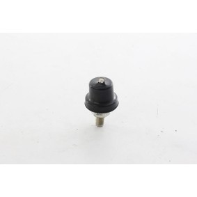 Osta Öljynpainekytkin BSG:llä BSG 30-840-078 edullisesti hintaan 47,32 €
