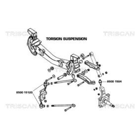 Traggelenk für IVECO von TRISCAN