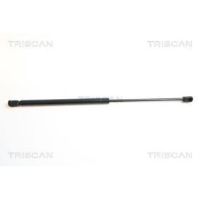Motorhaubendämpfer 8710 15104 von TRISCAN günstig für 26,28 € online kaufen