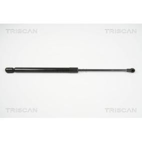 Heckklappendämpfer 8710 29281 von TRISCAN günstig für 22,87 € online kaufen