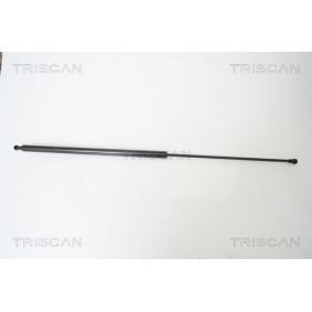 Heckklappendämpfer für SEAT von TRISCAN