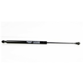 Heckklappendämpfer EP10183GS von EINPARTS günstig für 9,14 € online kaufen