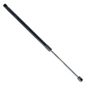 Heckklappendämpfer EP10186GS von EINPARTS günstig für 13,89 € online kaufen