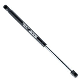 Heckklappendämpfer EP10202GS von EINPARTS günstig für 7,87 € online kaufen