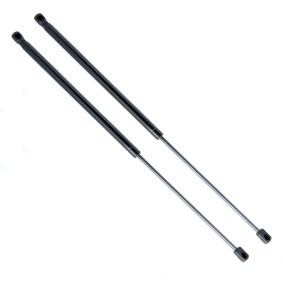 Heckklappendämpfer EP11013GS von EINPARTS günstig für 9,35 € online kaufen