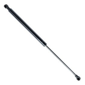 Heckklappendämpfer für TOYOTA von EINPARTS