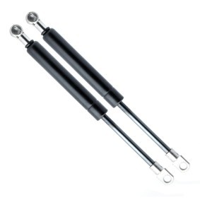 Gasfeder, Heckscheibe EP9126GS von EINPARTS günstig für 8,88 € online kaufen