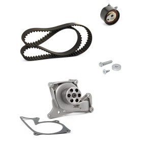 Osta Vesipumppu + jakohihnasarja RIDEX PLUS:llä 3096W0180P edullisesti hintaan 128,29 €