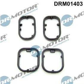 Dichtungssatz, Ölkühler für BMW von DR.MOTOR AUTOMOTIVE