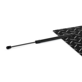 Heckklappendämpfer 219G1211 von RIDEX günstig für 12,74 € online kaufen