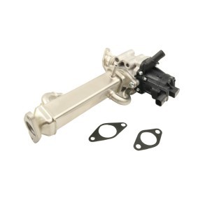 Compre Válvula EGR da FAST FT60250 a um preço baixo por 380,67 €