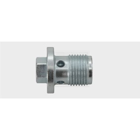 Acquista Vite di chiusura, vaschetta dell'olio da SWGAutomotive 24300102316 a buon mercato per soli 19,27 €
