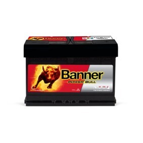 Batterie 013577400101 von BANNER günstig für 143,97 € online kaufen