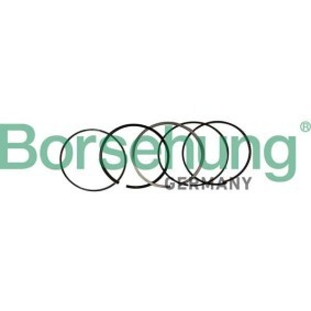 Kolbenringsatz für BMW von Borsehung