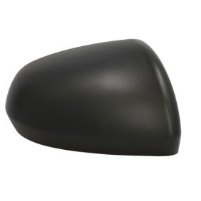 Compre Revestimento, retrovisor exterior da BLIC 6103-67-2146311P a um preço baixo por 29,10 €