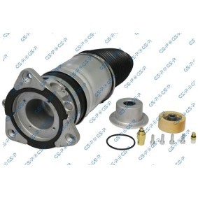 Compre Mola pneumática da GSP 35200681 a um preço baixo por 472,09 €