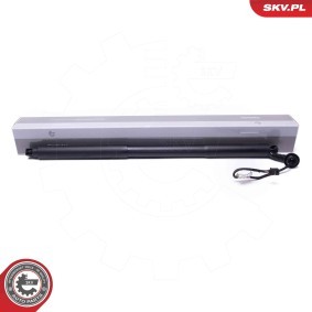 Acquista Pistoncini portellone da ESEN SKV online per V90 II Station Wagon (235, 236) a prezzi moderati