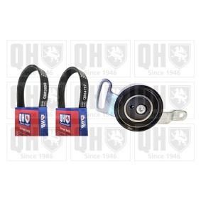 Compre Jogo de correias trapezoidais estriadas da QUINTON HAZELL QDK195 a um preço baixo por 90,76 €