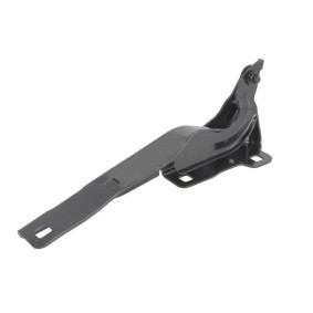 Acquista Cerniera, Cofano motore da BLIC 6802-00-3217452P a buon mercato per soli 23,65 €