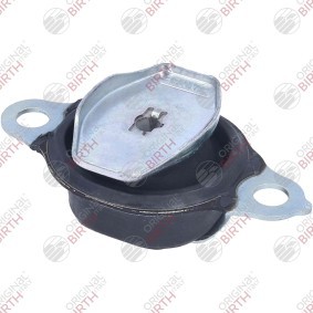 Lagerung, Schaltgetriebe 57204 von BIRTH günstig für 98,58 € online kaufen