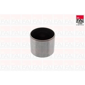 Köp Ventillyftare av FAI AutoParts BFS556S till det låga priset 134,97 kr