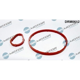 Dichtungssatz, Unterdruckpumpe DRM0612 von LIZARTE günstig für 20,49 € online kaufen