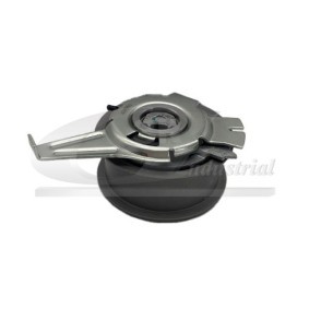 Spannrolle, Zahnriemen 13753 von 3RG günstig für 60,63 € online kaufen