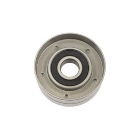 Comprar Polea tensora, correa poli V de FAST FT10031 a bajo precio de 13,20 €