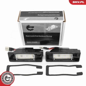 Acquista Luce targa da ESEN SKV 72SKV549 a buon mercato per soli 19,01 €