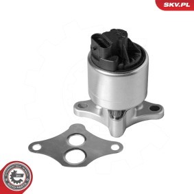 AGR-Ventil für MINI von ESEN SKV