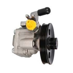 Comprar Bomba de dirección de STARQ SQ924-09111 a bajo precio de 129,44 €