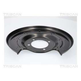 Compre Chapa deflectora, disco de travão da TRISCAN 8125 24206 a um preço baixo por 24,28 €