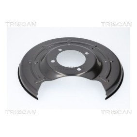 Compre Chapa deflectora, disco de travão da TRISCAN 8125 24207 a um preço baixo por 24,28 €