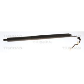 Compre Amortecedor da mala da TRISCAN 8710 24301 a um preço baixo por 121,21 €