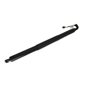 Heckklappendämpfer BRD50818 von BUGIAD günstig für 125,75 € online kaufen