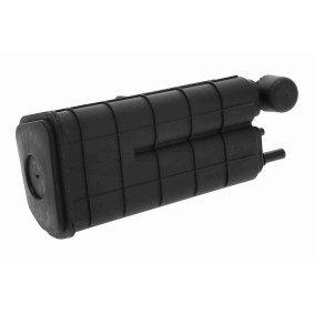 Acquista Filtro carboni attivi, Sfiato serbatoio da VAICO V46-1969 a buon mercato per soli 74,63 €