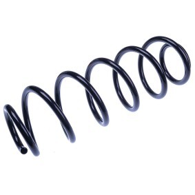 Acquista Molle da DENCKERMANN online per Fiesta Mk7 Hatchback a prezzi moderati