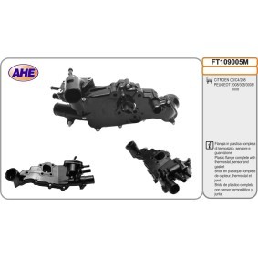 Osta Termostaattikotelo AHE:llä FT109005M edullisesti hintaan 138,24 €
