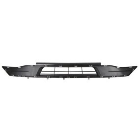 Lüftungsgitter, Stoßfänger 6502-07-2003984P von BLIC günstig für 60,31 € online kaufen