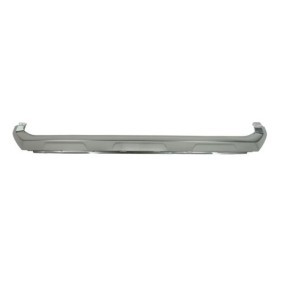 Zier- / Schutzleiste, Kühlergitter 6502-07-8123998P von BLIC günstig für 230,85 € online kaufen
